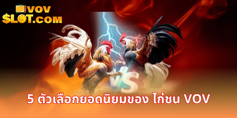 5 ตัวเลือกยอดนิยมของ ไก่ชน VOV